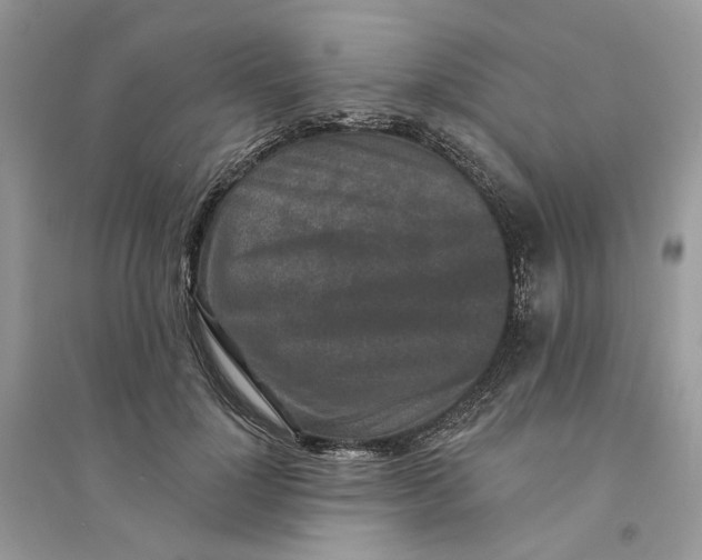 X0000094460748200711291721