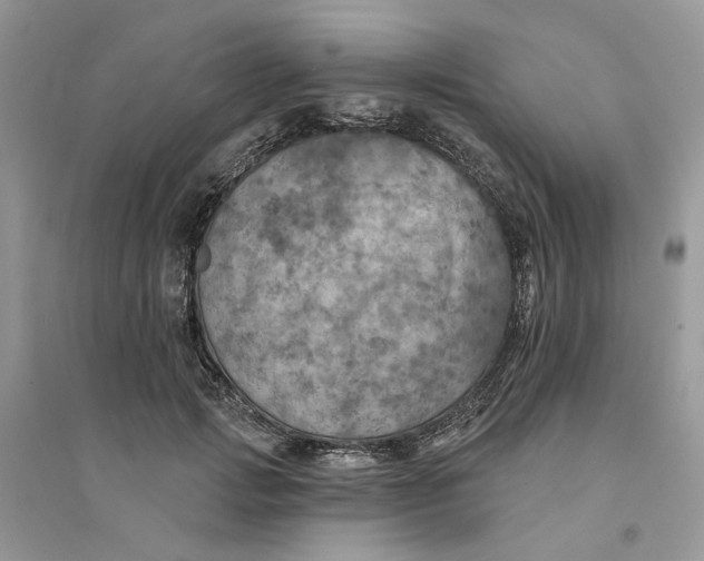 X0000094460749200711291721