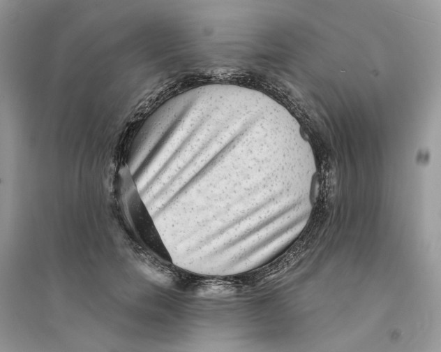 X0000094460750200711291721