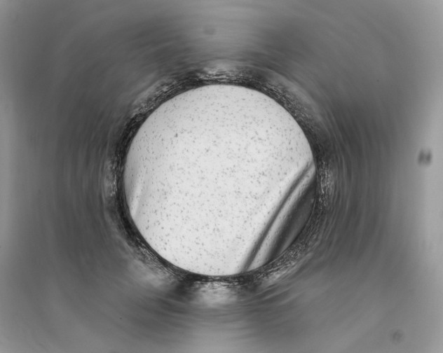 X0000094460751200711291721