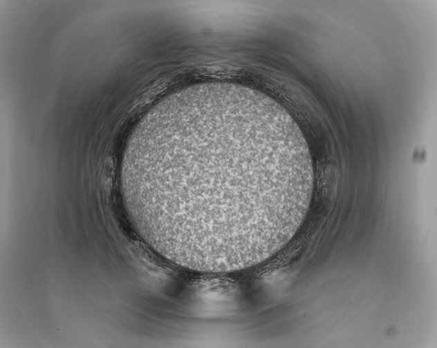 X0000094460752200711291721