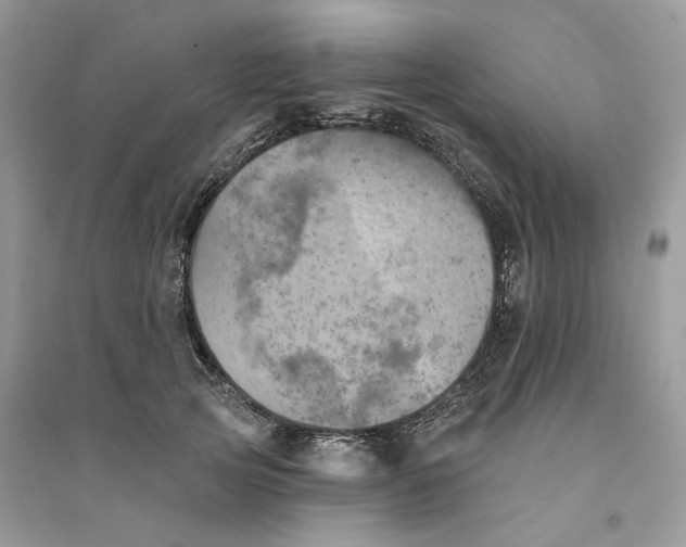 X0000094460753200711291721