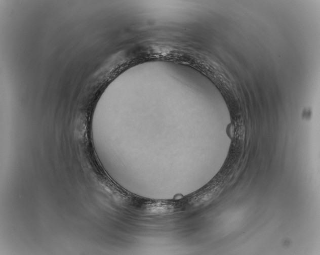 X0000094460754200711291721