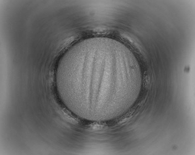 X0000094460756200711291721