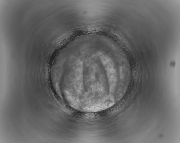 X0000094460757200711291721