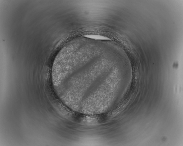 X0000094460758200711291721