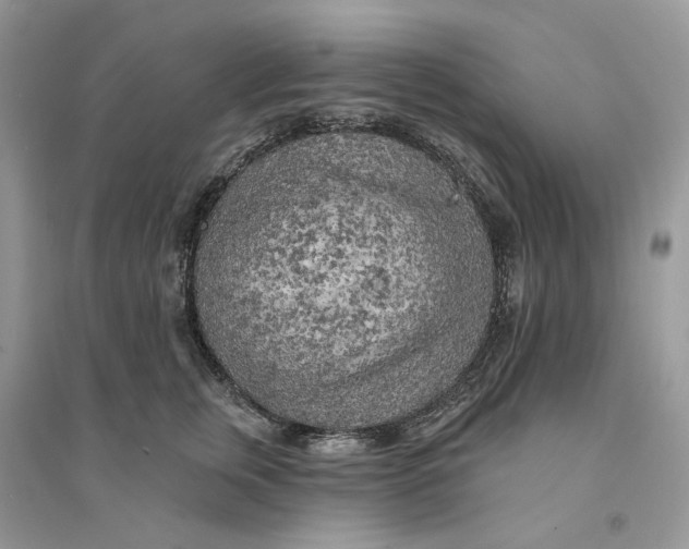 X0000094460759200711291721