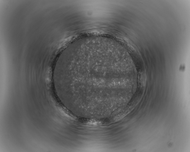 X0000094460760200711291721