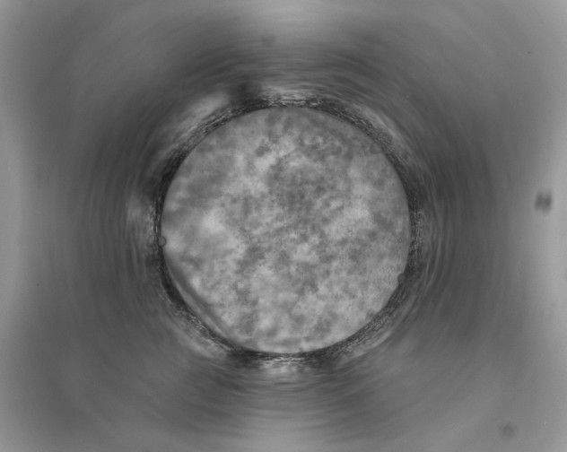 X0000094460761200711291721