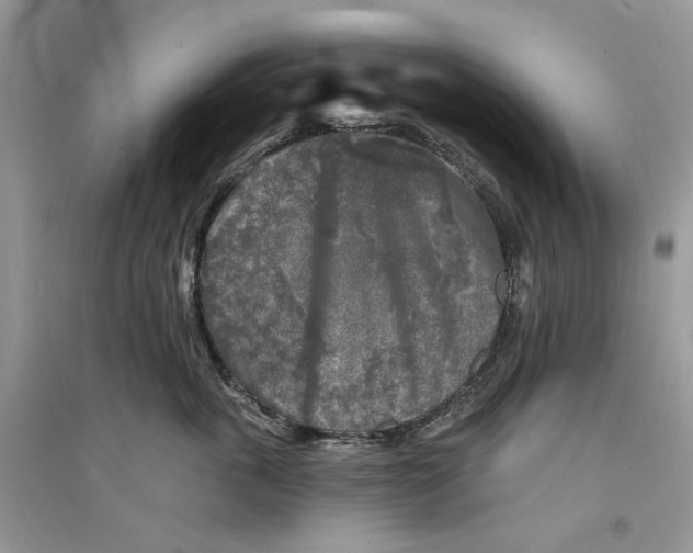 X0000094460763200711291721