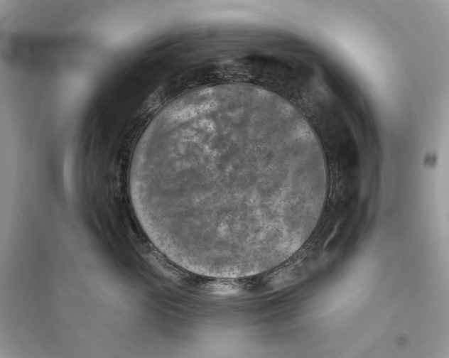 X0000094460765200711291721