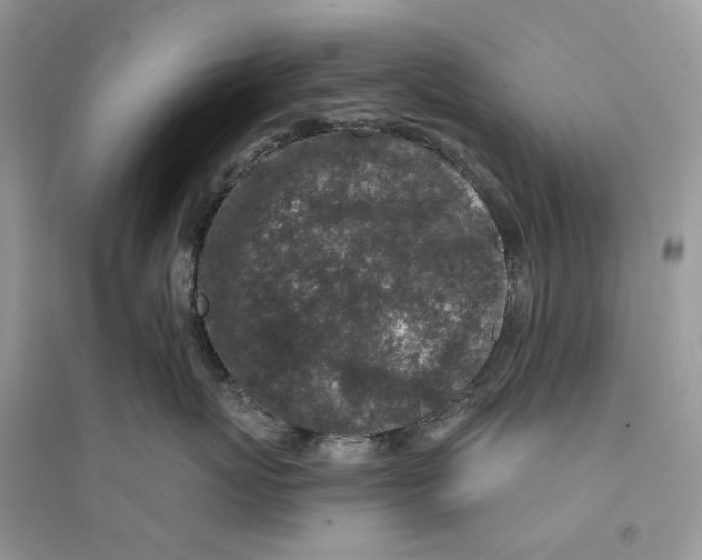 X0000094460767200711291721