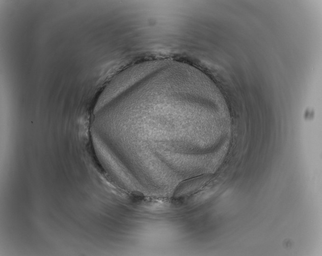 X0000094460768200711291722