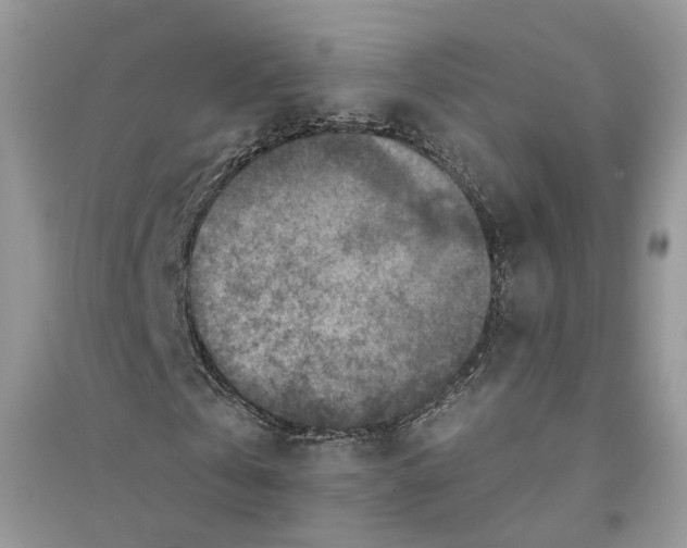 X0000094460769200711291721