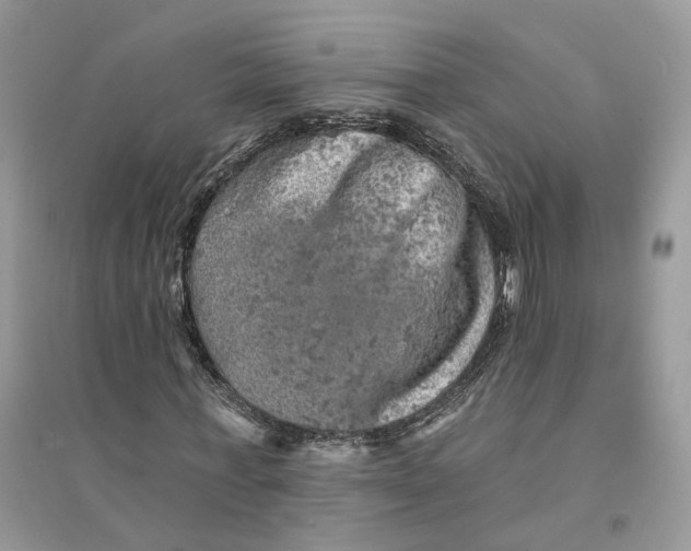 X0000094460771200711291721