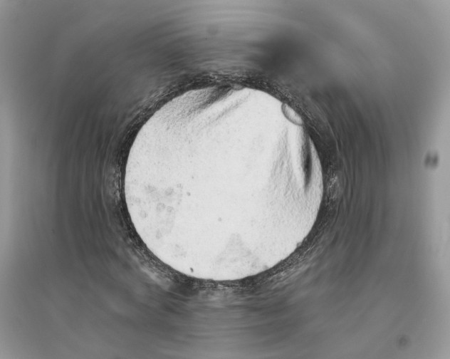 X0000094460772200711291721