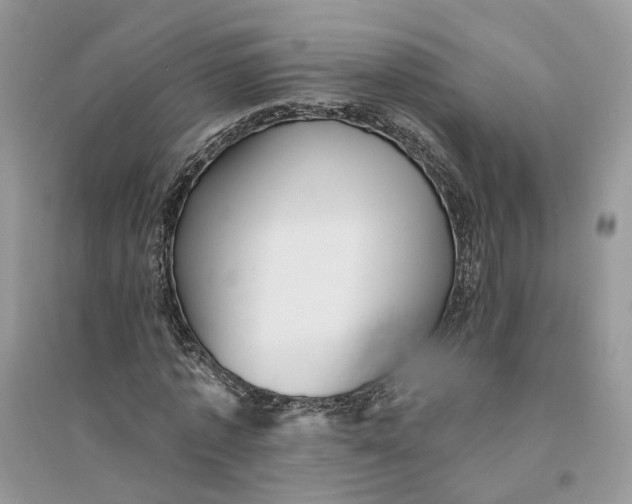 X0000094460773200711291721