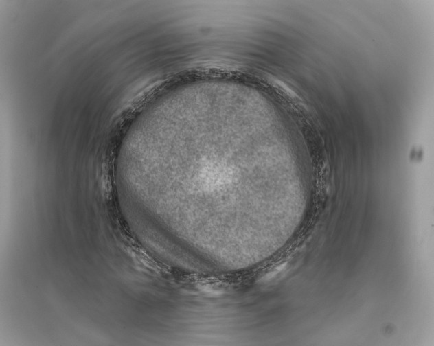 X0000094460774200711291721