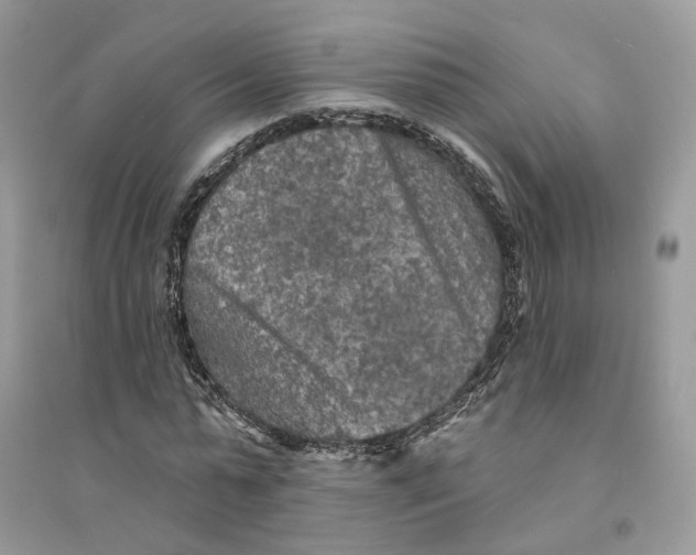 X0000094460775200711291721