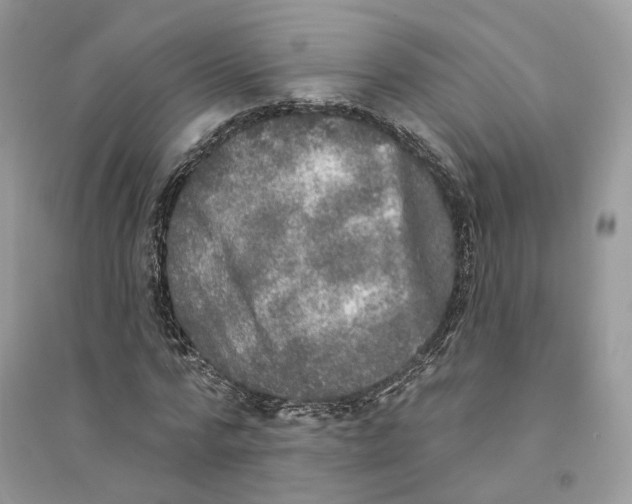 X0000094460776200711291721