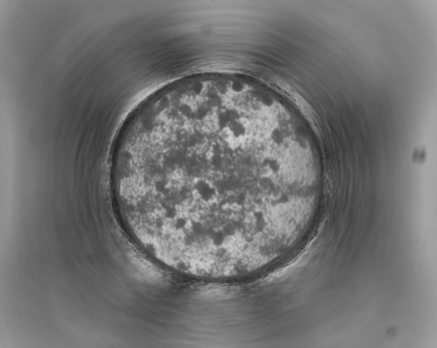 X0000094460779200711291721