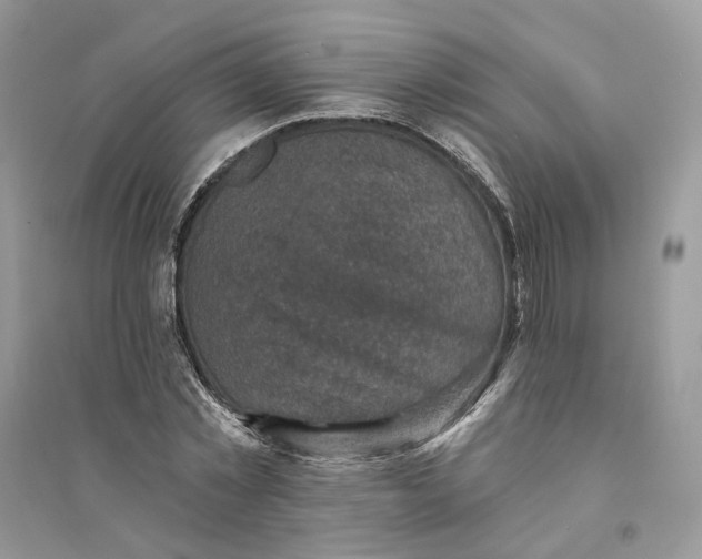 X0000094460781200711291721