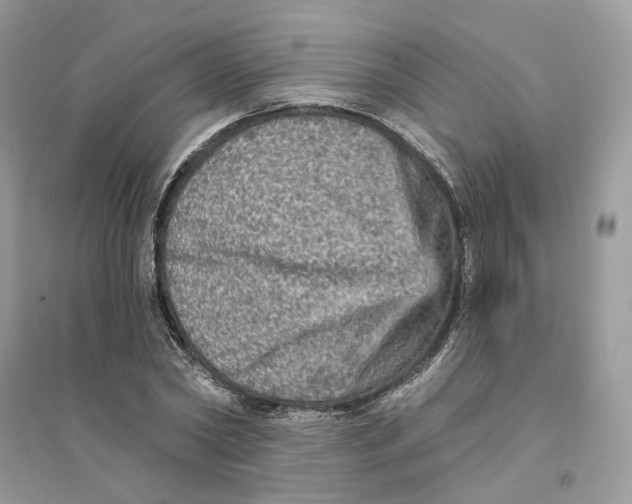 X0000094460782200711291721