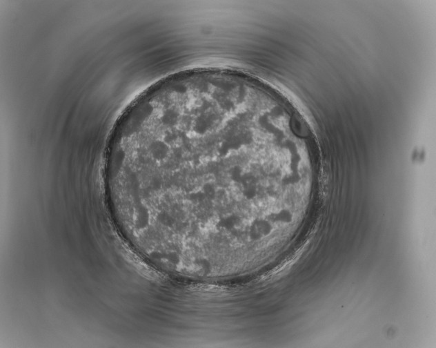 X0000094460783200711291721