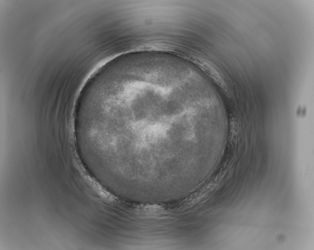 X0000094460784200711291721