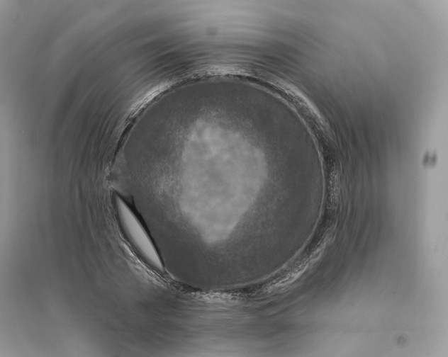 X0000094460785200711291721