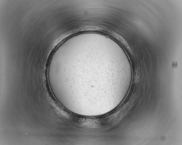 X0000094460786200711291721