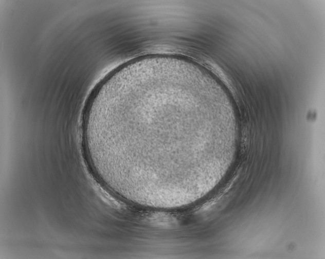 X0000094460787200711291721