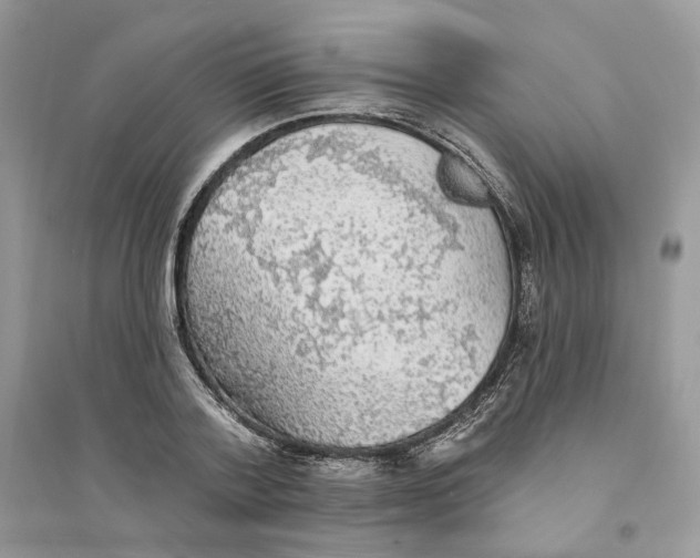 X0000094460788200711291721