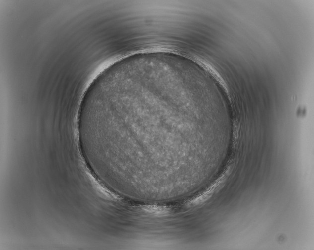 X0000094460789200711291721