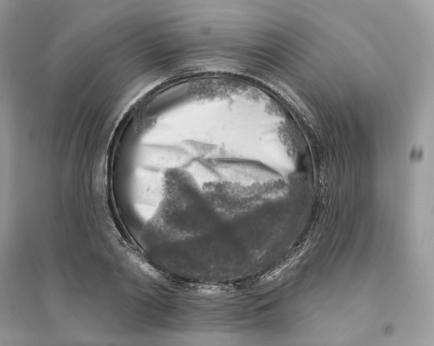 X0000094460790200711291721