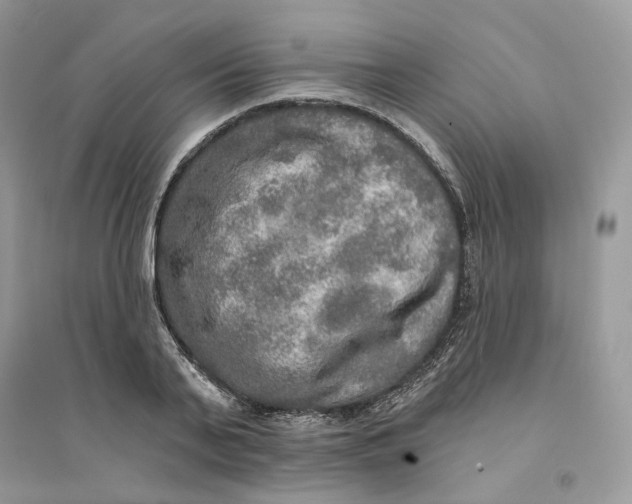 X0000094460791200711291721