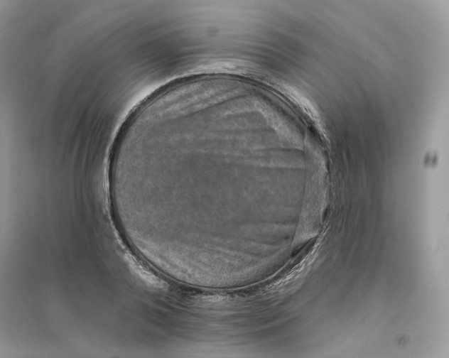 X0000094460792200711291721