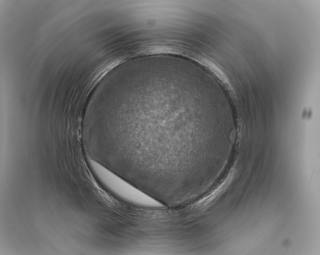 X0000094460793200711291721