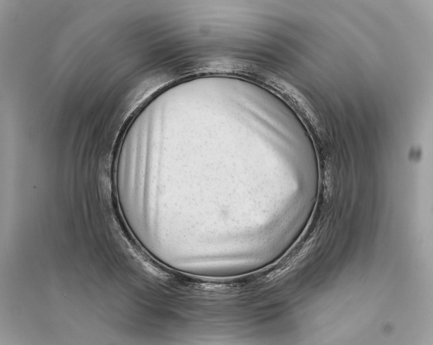 X0000094460794200711291720