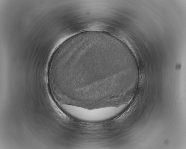 X0000094460795200711291720