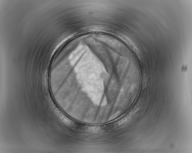 X0000094460798200711291720