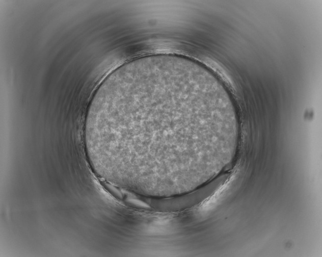 X0000094460801200711291720