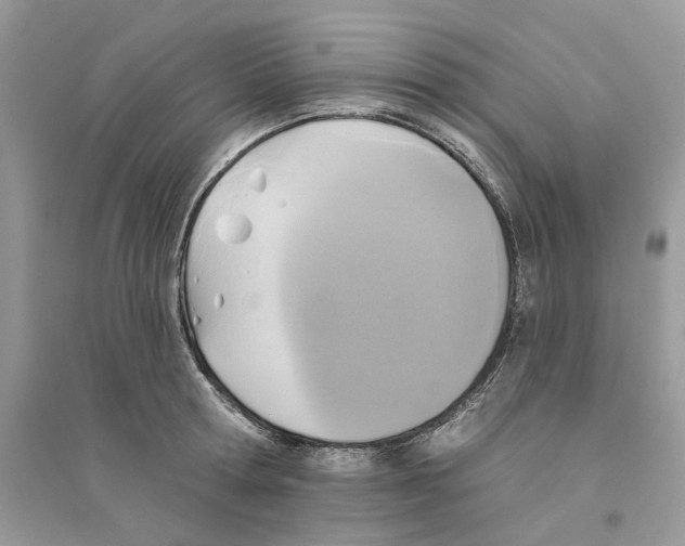 X0000094460802200711291720