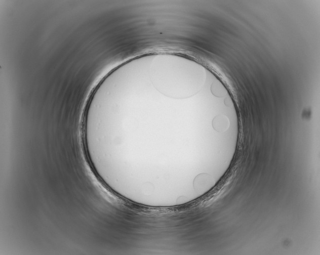 X0000094460803200711291720