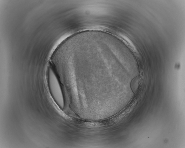 X0000094460804200711291720