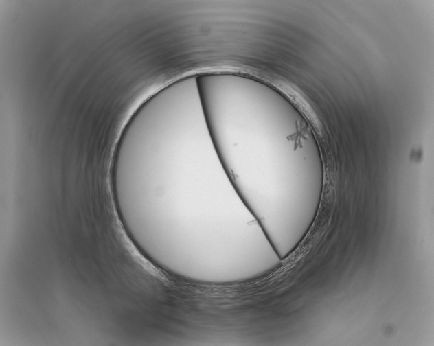 X0000094460805200711291720