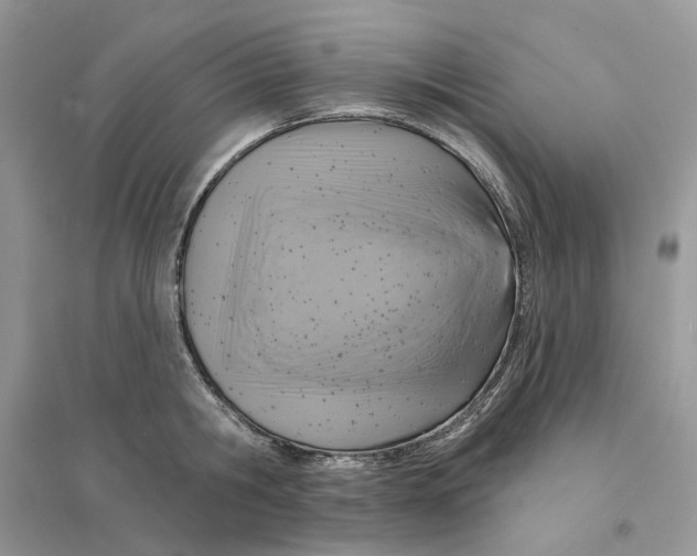 X0000094460806200711291720