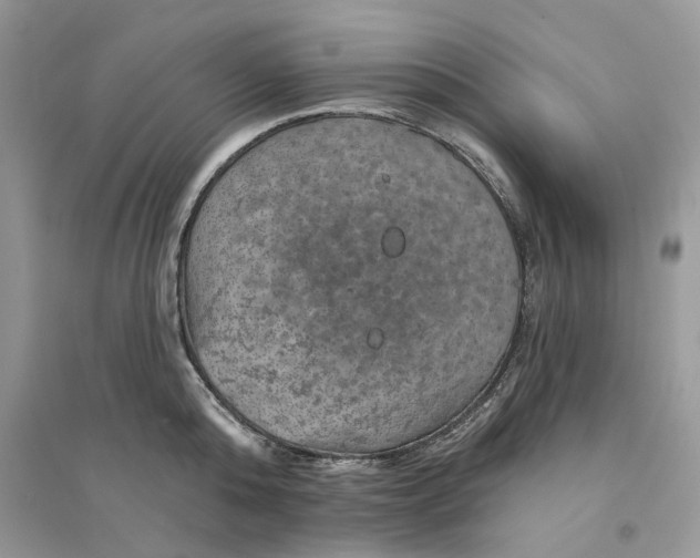 X0000094460808200711291720