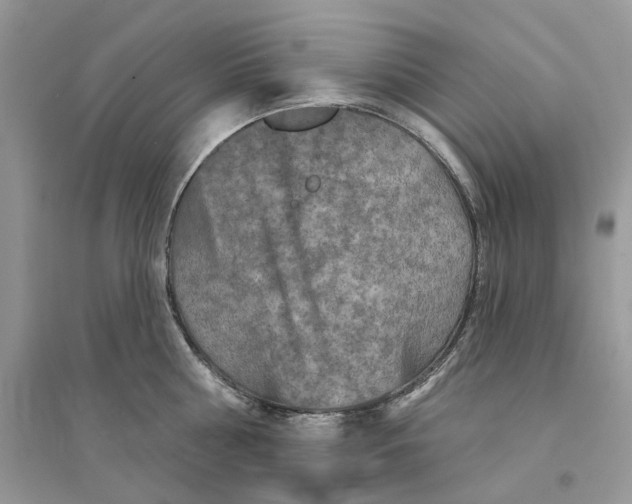 X0000094460810200711291720