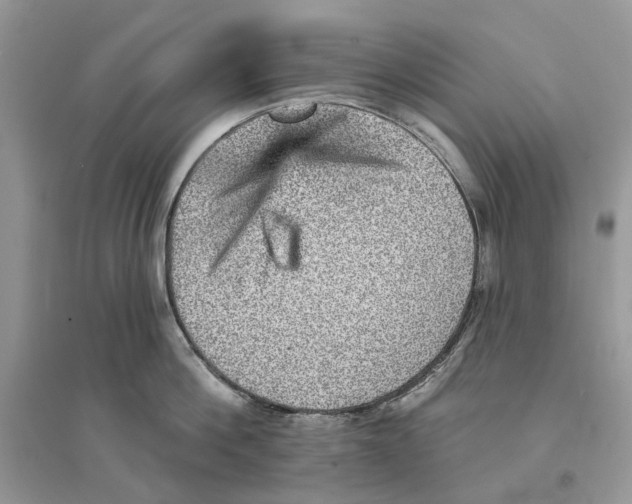 X0000094460812200711291720